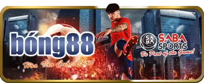 Tổng quan về đá gà trực tuyến tại kjc code